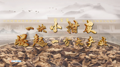 一片小柑皮