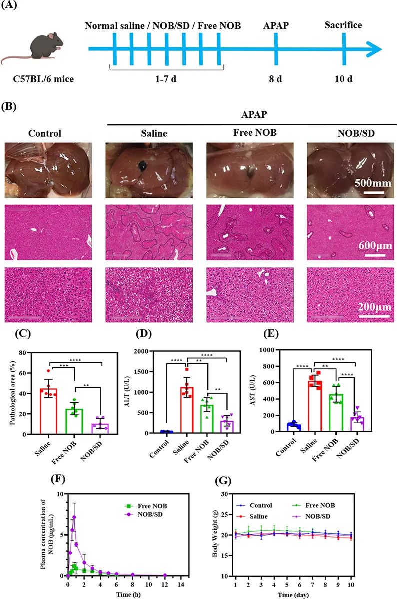 640.jpg
