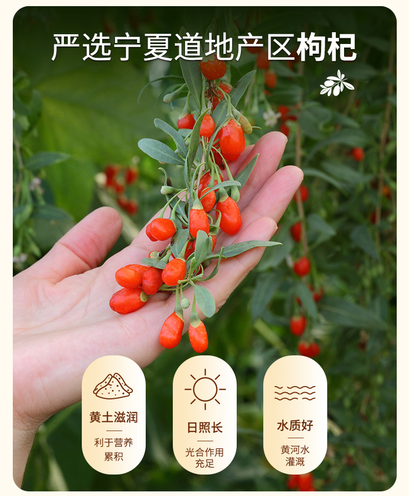 20250401-陈皮灵杞水详情设计_09.jpg